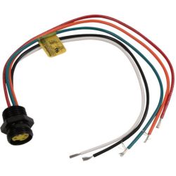 Molex 130013-0442 Mini-Change A-Size Receptacles, 5 Poles, 1/2" - 14 NPT Threads, Female (Straight) to 16 AWG Leads, 0.305m (1.0') Length