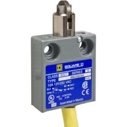 Schneider Electric 9007MS03S0300 Limit Switch 9007 Miniature Spring Return Cross Roller Plunger 240VAC 10A ms +Option 1 Normally Open and 1 Normally Close 9 Feet of Cable NEMA 1, 2, 4, 6, 6P